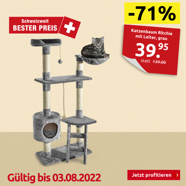 Katzenbaum Ritchie mit Leiter, grau