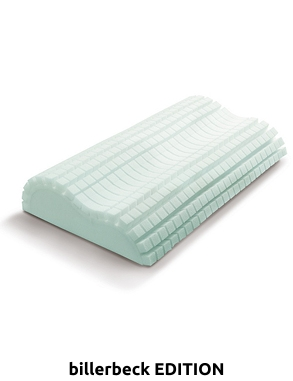 Kissen «Vita Aloe Vera»