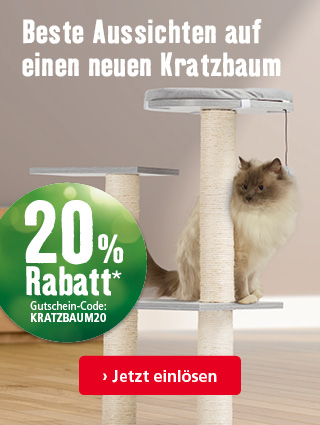 20%sparen