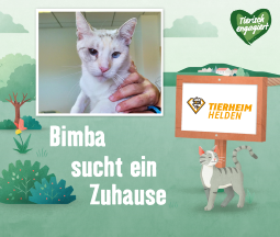 Bimba sucht ein Zuhause