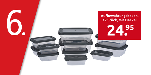 Aufbewahrungsboxen, 12 Stück, mit Deckel, grau