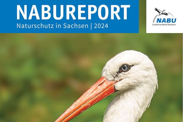 NABU Report 2024 erschienen