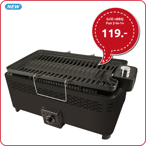 Grill «BBQ Fun 2-in-1»