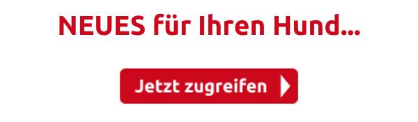 NEUES für Ihren Hund...