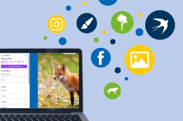 Canva für Fortgeschrittene 07.10.25: Gestalten von Carousels, Fotos und Videos