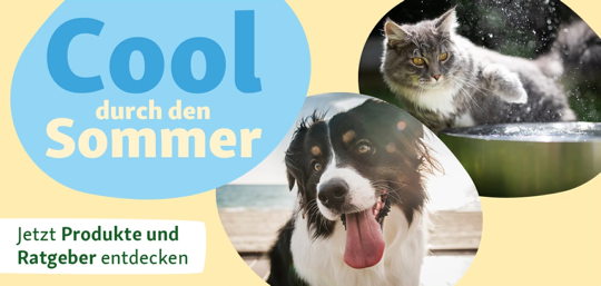 Cool durch den Sommer