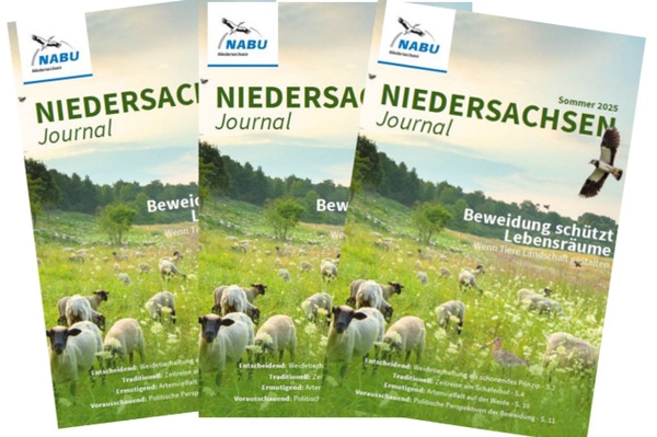 NABU Niedersachsen Journal Das Mitgliedermagazin für Niedersachsen