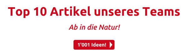 Top 10 Artikel unseres Teams