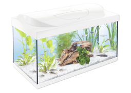 Aquarium Tetra Kleine Forscher LED 54 Liter weiß