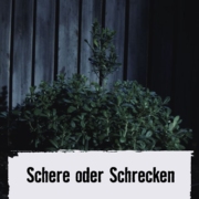 Schere oder Schrecken.