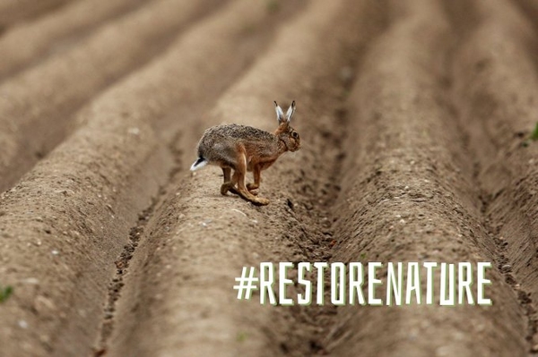 Eine Chance für die Natur Europas Natur retten - Ihre Stimme ist gefragt