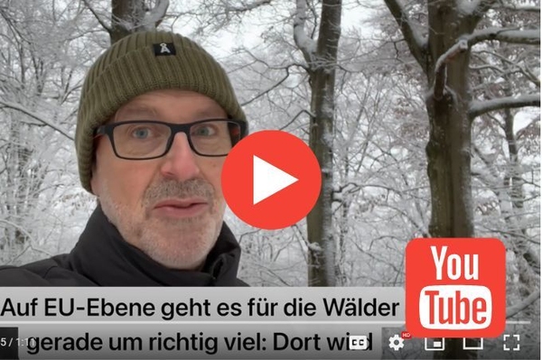 Verheizt unsere Wälder nicht! Jetzt Wohlleben-Appell anschauen