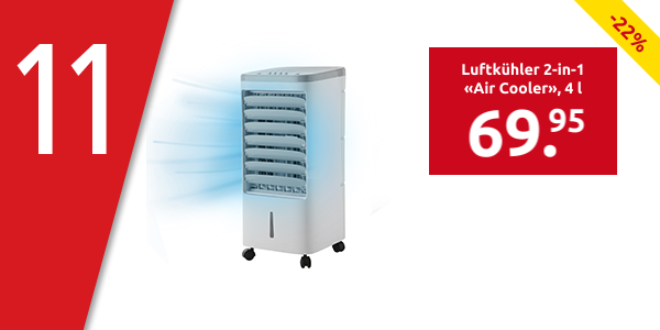 Luftkühler 2-in-1 «Air Cooler», 4 l