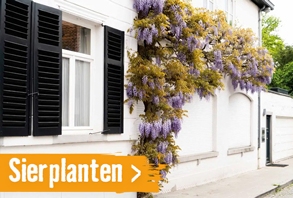 Sierplanten | HORNBACH