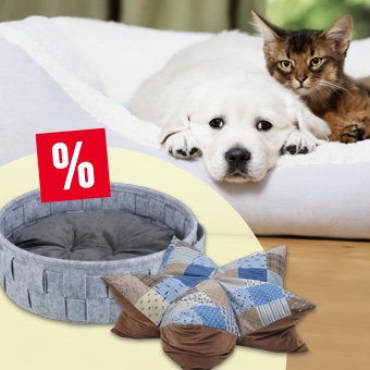 Sparen Sie bis zu 15% auf kuschelige Liegeplätze 