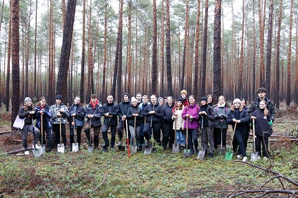 Baum für Baum zum Naturwald
NABU-Pflanzaktionen im Niederlausitzer Stiftungswald
