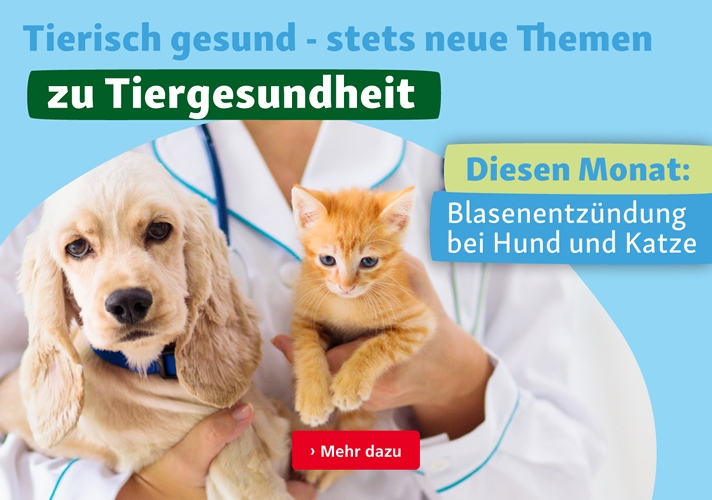 Tierisch gesund: Blasenentzündung bei Hunden und Katzen