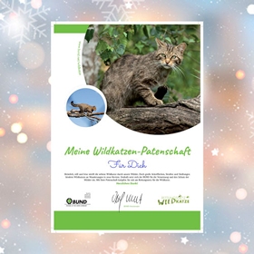 BUND-Wildkatzen-Patenschaftsurkunde