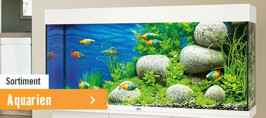 Aquarien im HORNBACH Online Shop