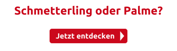 Schmetterling oder Palme?