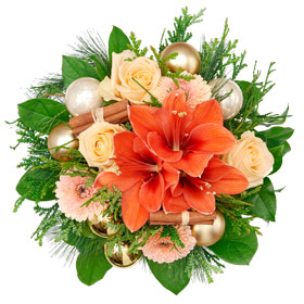 Amaryllis