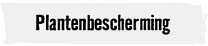 Plantenbescherming | HORNBACH