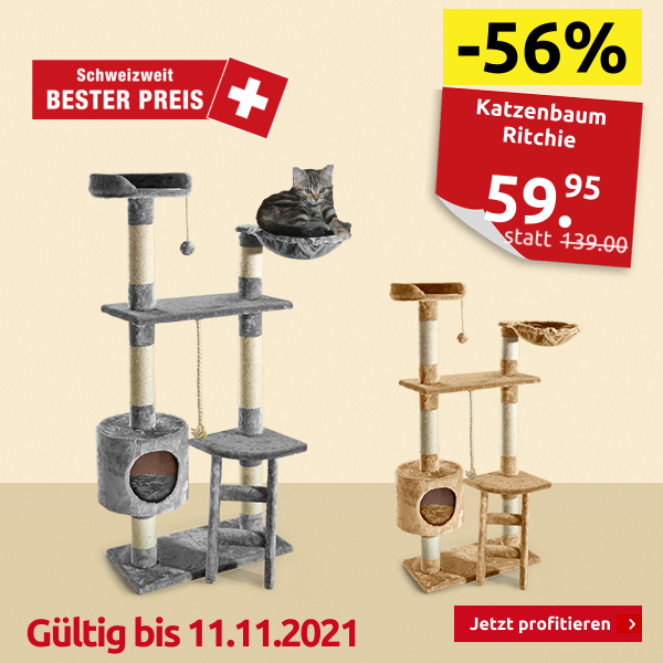 Katzenbaum Ritchie mit Leiter, grau