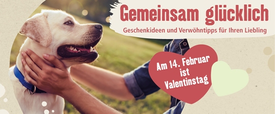 Inspiration zum Valentinstag