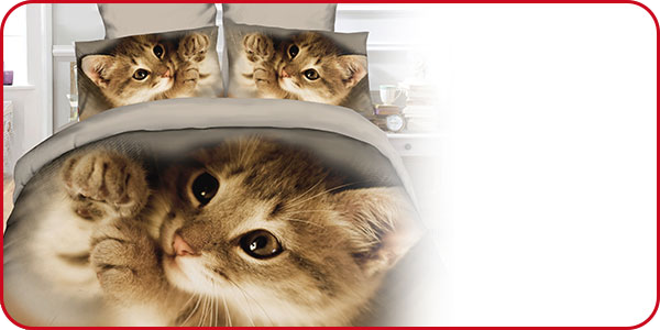 Duvetanzug «Kätzchen» 160 x 210 cm + Pfulmenanzug 65 x 100 cm