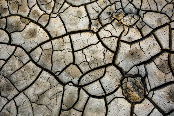 Wir brauchen eine Restrisiko-Absicherung für die Landwirtschaft Betriebe müssen Vorsorgemaßnahmen treffen