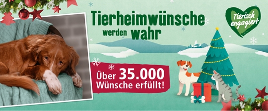 Danke für 35.000 Tierheimwünsche!