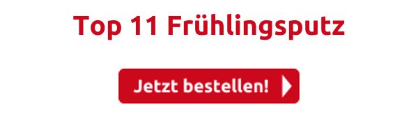 Top 11 Frühlingsputz