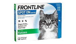 zu Frontline Spot on Katze