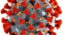 Wie schwer das Corona-Virus den Segelsport trifft