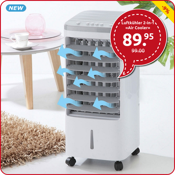 Luftkühler 2-in-1 «Air Cooler», 4 l