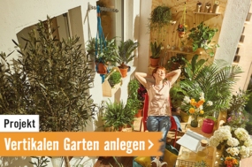 Projekt: Vertikalen Garten anlegen