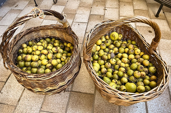 „Gemeinsam für Streuobstparadiese“ NABU-Förderaufruf erfolgreich abgeschlossen