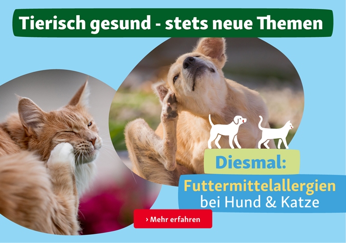 Tierisch gesund: Futtermittelallergien 