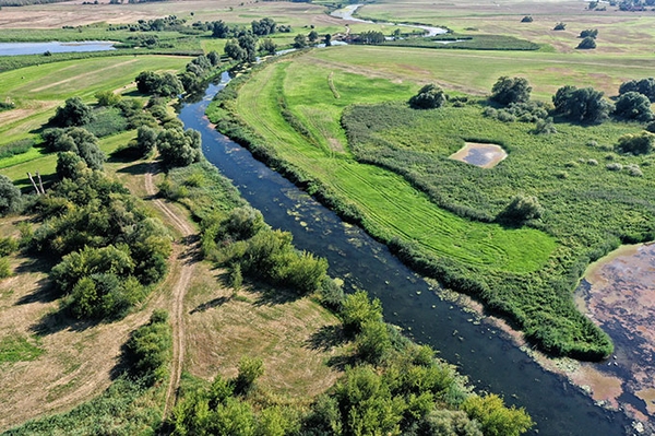 Nach dem Tagebau in der Lausitz NABU Verbände fordern naturbasierte Lösungen