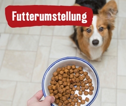 Futterumstellung