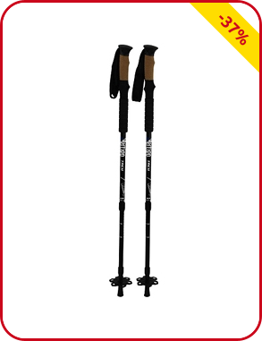 Trekking Stick, 2 Stück, schwarz