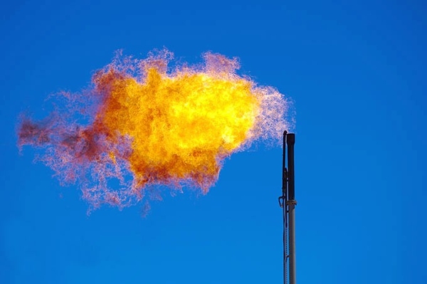 LNG-Terminals Der aktuelle NABU-Blog zur Bundespolitik