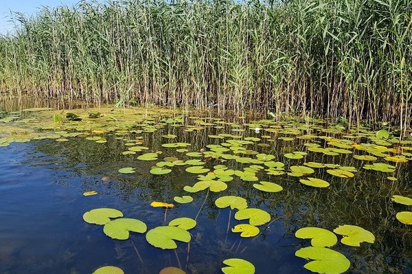 Debatten-Workshop: Wasser & Natura 2000 „Lebenswerte Natura 2000-Gebiete“