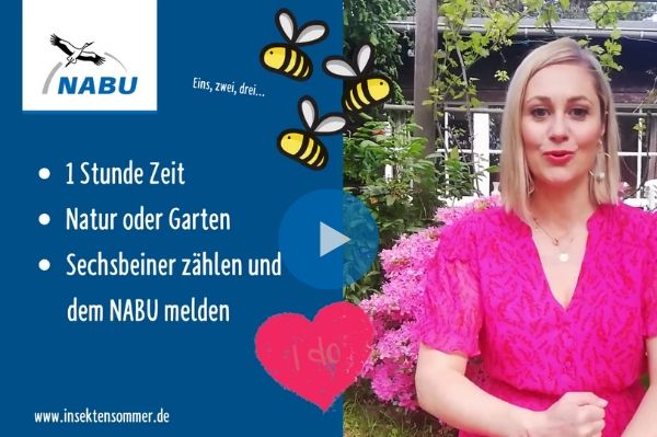 Basisinfos zum Insektensommer So funktioniert die Aktion