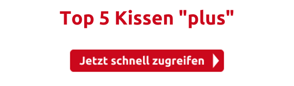 Top 5 Kissen "plus"