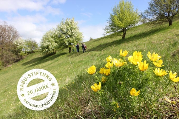 Kommen Sie mit ins Naturparadies! 20 Jahre NABU-Stiftung Nationales Naturerbe