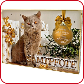 Adventskalender «Samtpfote»