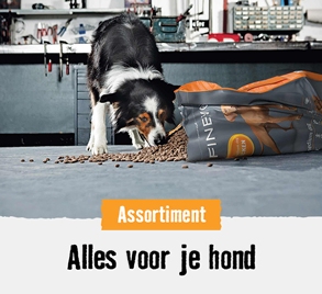 Alles voor je hond | HORNBACH