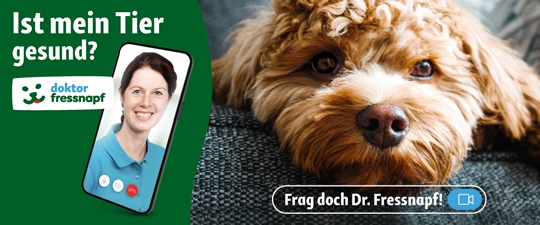 Frag doch Dr. Fressnapf 