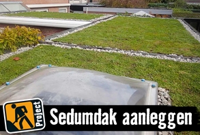 Sedumdak aanleggen | HORNBACH